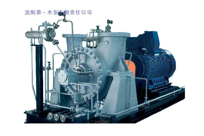 沈阳第一水泵有限责任公司dsh,gsh化工流程泵